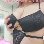 ヒメ日記 2025/07/08 10:15 投稿 中島　まちこ 昼下がりの情事