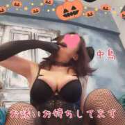 ヒメ日記 2025/10/30 10:11 投稿 中島　まちこ 昼下がりの情事