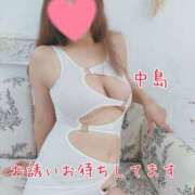 ヒメ日記 2025/11/13 10:30 投稿 中島　まちこ 昼下がりの情事