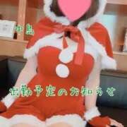 ヒメ日記 2025/11/17 19:10 投稿 中島　まちこ 昼下がりの情事