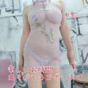 ヒメ日記 2026/02/18 19:30 投稿 中島　まちこ 昼下がりの情事