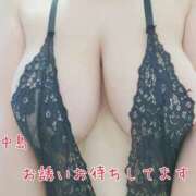 ヒメ日記 2026/03/19 10:30 投稿 中島　まちこ 昼下がりの情事