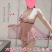 ヒメ日記 2026/04/09 10:30 投稿 中島　まちこ 昼下がりの情事