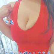 ヒメ日記 2026/04/26 10:30 投稿 中島　まちこ 昼下がりの情事