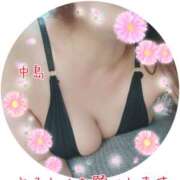 ヒメ日記 2026/09/20 10:31 投稿 中島　まちこ 昼下がりの情事