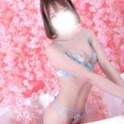 ヒメ日記 2025/05/11 06:50 投稿 ティアラ The White