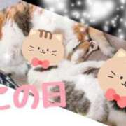 ヒメ日記 2025/02/22 20:24 投稿 るる しろわい 仙台店