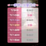 るる 出勤予定🌼 しろわい 仙台店