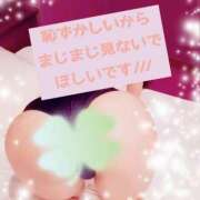 ヒメ日記 2026/09/11 23:36 投稿 るる しろわい 仙台店