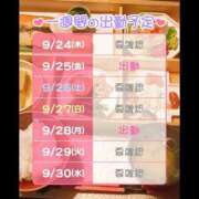 ヒメ日記 2026/09/24 14:06 投稿 るる しろわい 仙台店