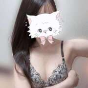 ヒメ日記 2024/12/28 11:14 投稿 きこ ダイスキ