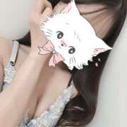 ヒメ日記 2024/12/29 11:02 投稿 きこ ダイスキ