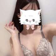 ヒメ日記 2025/03/08 15:12 投稿 きこ ダイスキ