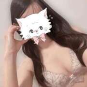 ヒメ日記 2025/04/15 17:44 投稿 きこ ダイスキ