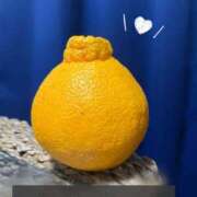 ヒメ日記 2026/02/08 03:11 投稿 石田ひかり 紫苑-shion-