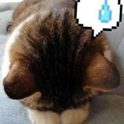 ヒメ日記 2025/06/10 10:24 投稿 しんら 新宿サンキュー