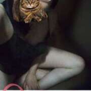 ヒメ日記 2025/07/11 04:20 投稿 しんら 新宿サンキュー