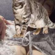 ヒメ日記 2025/07/13 16:20 投稿 しんら 新宿サンキュー