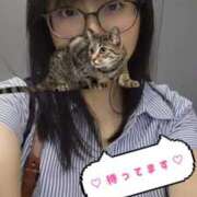 ヒメ日記 2025/07/17 10:40 投稿 しんら 新宿サンキュー