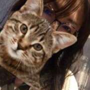 ヒメ日記 2025/12/18 18:02 投稿 しんら 新宿サンキュー