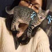 ヒメ日記 2025/12/18 21:42 投稿 しんら 新宿サンキュー