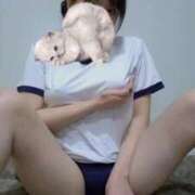 ヒメ日記 2026/02/09 04:12 投稿 しんら 新宿サンキュー