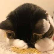 ヒメ日記 2026/03/29 19:42 投稿 しんら 新宿サンキュー