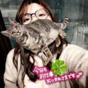 ヒメ日記 2026/04/13 19:42 投稿 しんら 新宿サンキュー