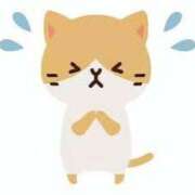 ヒメ日記 2025/04/26 09:39 投稿 村岡優里 五十路マダム 博多店