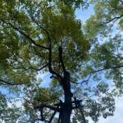 ヒメ日記 2025/05/30 15:07 投稿 村岡優里 五十路マダム 博多店