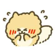 ヒメ日記 2025/10/11 10:27 投稿 村岡優里 五十路マダム 博多店