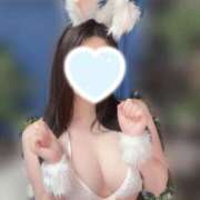 ヒメ日記 2025/02/18 14:37 投稿 らん ジャパンクラブ富士