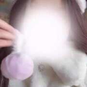 ヒメ日記 2025/06/10 11:32 投稿 らん ジャパンクラブ富士