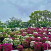 ヒメ日記 2025/06/15 07:53 投稿 ♪ちえみ 水色りぼん