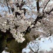 ヒメ日記 2026/04/01 21:33 投稿 ♪ちえみ 水色りぼん