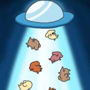 ヒメ日記 2025/01/14 17:20 投稿 アサミ ドMな奥さん 日本橋店