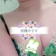 ヒメ日記 2025/02/17 11:45 投稿 アサミ ドMな奥さん 日本橋店