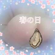 ヒメ日記 2025/03/20 11:39 投稿 アサミ ドMな奥さん 日本橋店