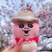 ヒメ日記 2025/04/08 08:47 投稿 アサミ ドMな奥さん 日本橋店