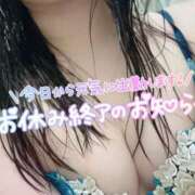 ヒメ日記 2025/05/02 06:45 投稿 アサミ ドMな奥さん 日本橋店