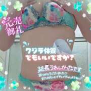 ヒメ日記 2025/05/08 16:18 投稿 アサミ ドMな奥さん 日本橋店