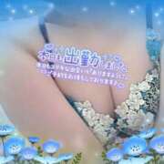 ヒメ日記 2025/05/09 08:30 投稿 アサミ ドMな奥さん 日本橋店