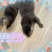 ヒメ日記 2025/06/01 20:23 投稿 アサミ ドMな奥さん 日本橋店