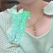 ヒメ日記 2025/06/04 16:49 投稿 アサミ ドMな奥さん 日本橋店