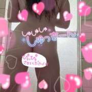 ヒメ日記 2025/07/09 08:22 投稿 アサミ ドMな奥さん 日本橋店