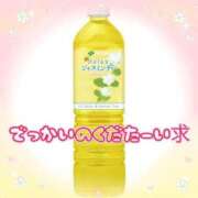 ヒメ日記 2025/08/04 09:16 投稿 アサミ ドMな奥さん 日本橋店