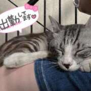 ヒメ日記 2025/08/22 09:50 投稿 アサミ ドMな奥さん 日本橋店