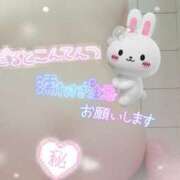 ヒメ日記 2025/09/02 12:13 投稿 アサミ ドMな奥さん 日本橋店