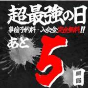 ヒメ日記 2025/09/03 07:40 投稿 アサミ ドMな奥さん 日本橋店