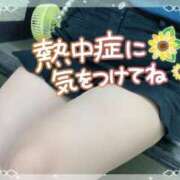 ヒメ日記 2025/09/07 13:51 投稿 アサミ ドMな奥さん 日本橋店